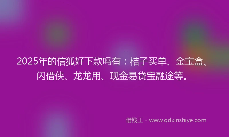 2025年的信狐好下款吗有：桔子买单、金宝盒、闪借侠、龙龙用、现金易贷宝融途等。