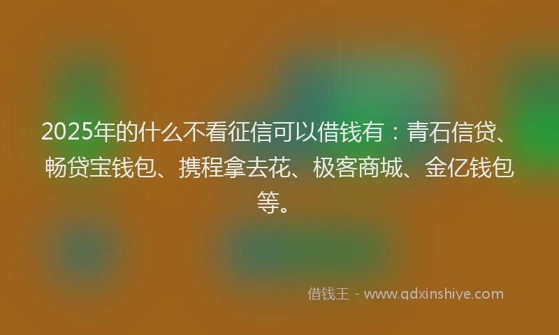 2025年的什么不看征信可以借钱有：青石信贷、畅贷宝钱包、携程拿去花、极客商城、金亿钱包等。