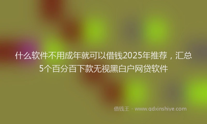 什么软件不用成年就可以借钱2025年推荐，汇总5个百分百下款无视黑白户网贷软件