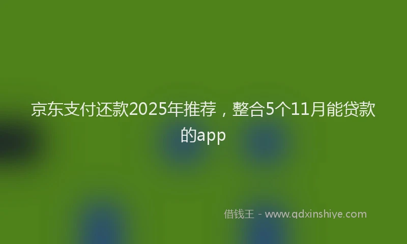 京东支付还款2025年推荐，整合5个11月能贷款的app