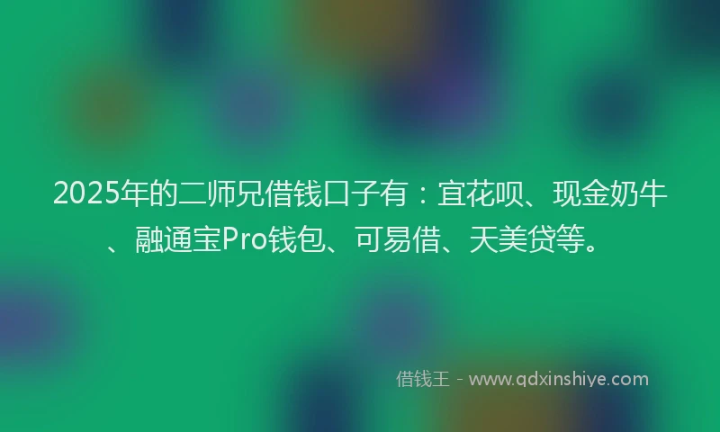 2025年的二师兄借钱口子有：宜花呗、现金奶牛、融通宝Pro钱包、可易借、天美贷等。