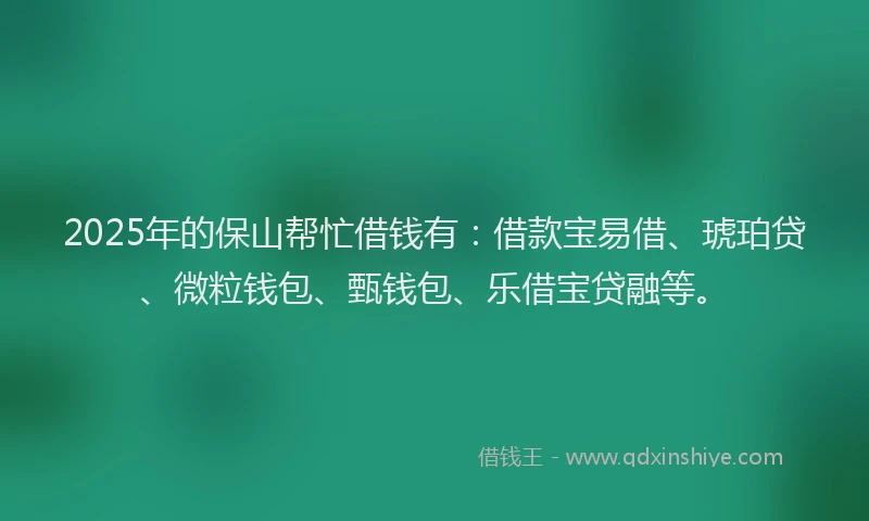 2025年的保山帮忙借钱有：借款宝易借、琥珀贷、微粒钱包、甄钱包、乐借宝贷融等。