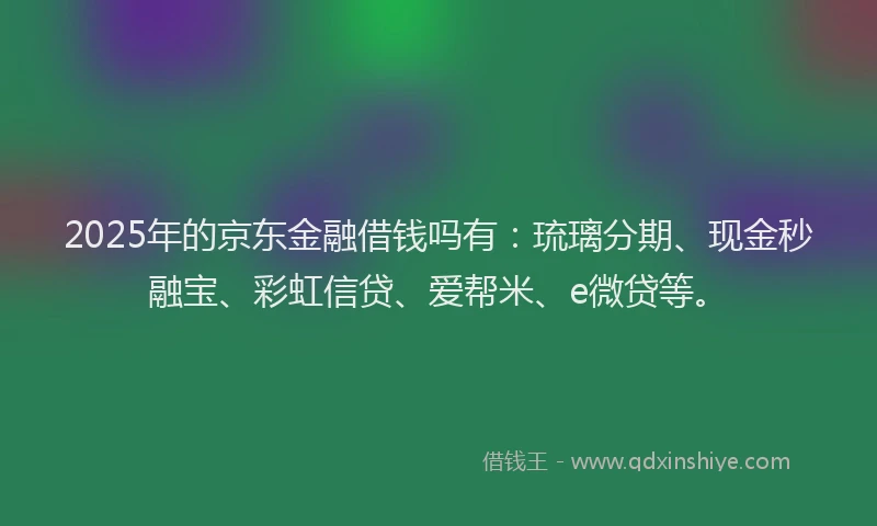 2025年的京东金融借钱吗有：琉璃分期、现金秒融宝、彩虹信贷、爱帮米、e微贷等。