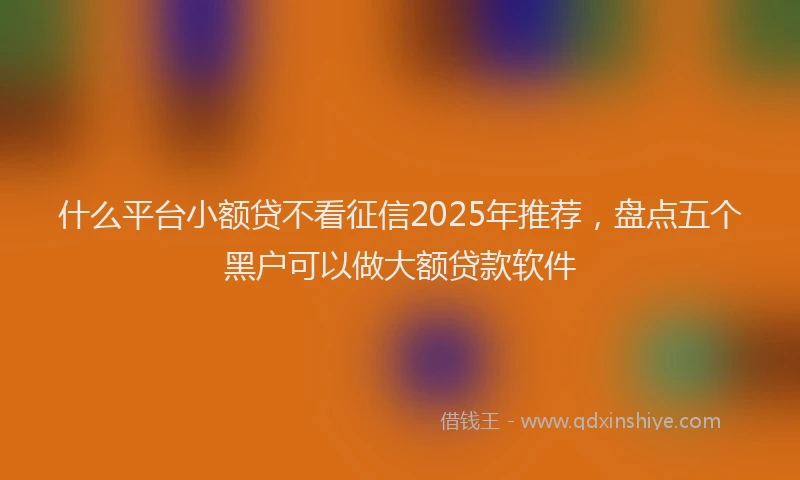 什么平台小额贷不看征信2025年推荐，盘点五个黑户可以做大额贷款软件