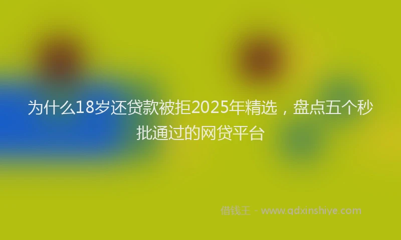 为什么18岁还贷款被拒2025年精选，盘点五个秒批通过的网贷平台