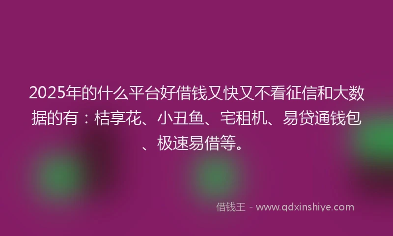 2025年的什么平台好借钱又快又不看征信和大数据的有：桔享花、小丑鱼、宅租机、易贷通钱包、极速易借等。