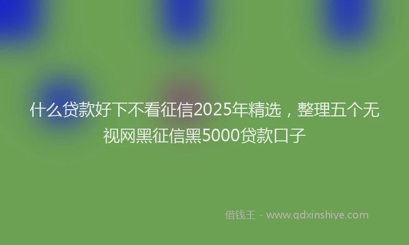 什么贷款好下不看征信2025年精选，整理五个无视网黑征信黑5000贷款口子
