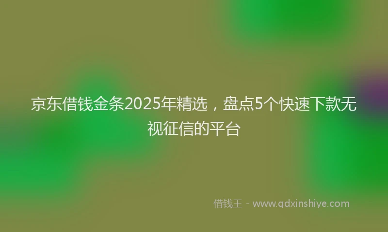 京东借钱金条2025年精选，盘点5个快速下款无视征信的平台