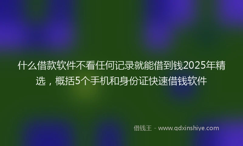什么借款软件不看任何记录就能借到钱2025年精选,概括5个手机和身份证快速借钱软件