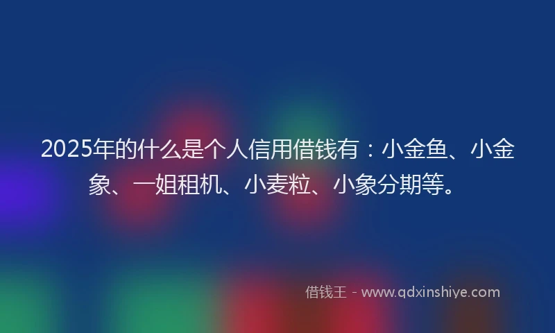 2025年的什么是个人信用借钱有：小金鱼、小金象、一姐租机、小麦粒、小象分期等。