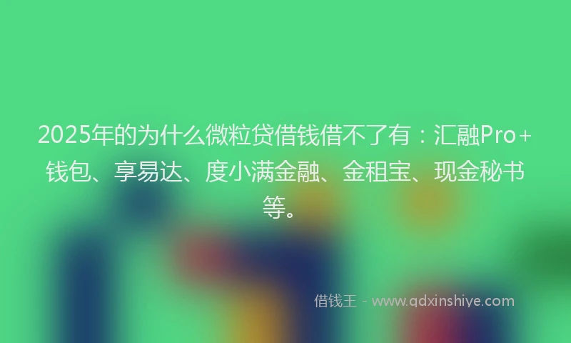 2025年的为什么微粒贷借钱借不了有：汇融Pro+钱包、享易达、度小满金融、金租宝、现金秘书等。