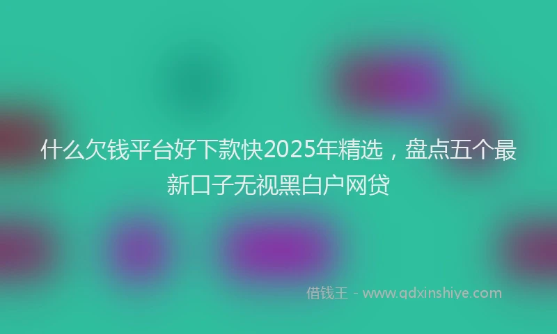 什么欠钱平台好下款快2025年精选，盘点五个最新口子无视黑白户网贷