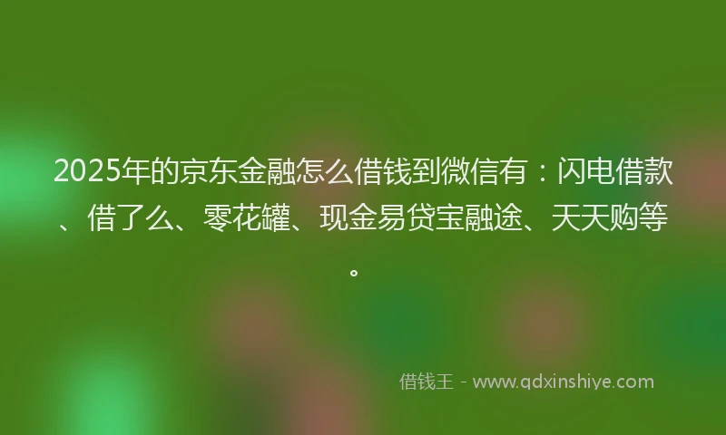 2025年的京东金融怎么借钱到微信有：闪电借款、借了么、零花罐、现金易贷宝融途、天天购等。