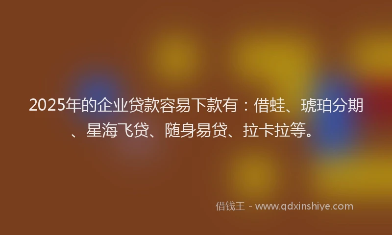 2025年的企业贷款容易下款有：借蛙、琥珀分期、星海飞贷、随身易贷、拉卡拉等。