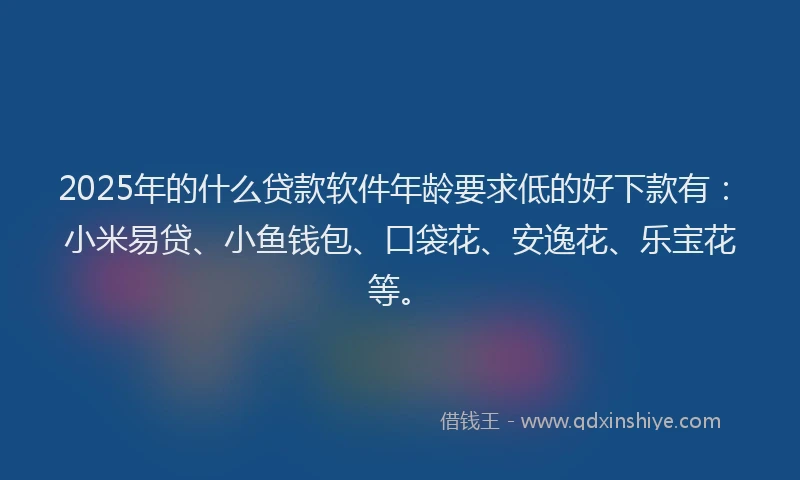 2025年的什么贷款软件年龄要求低的好下款有：小米易贷、小鱼钱包、口袋花、安逸花、乐宝花等。