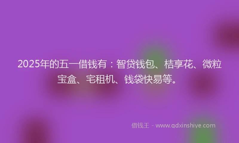 2025年的五一借钱有：智贷钱包、桔享花、微粒宝盒、宅租机、钱袋快易等。