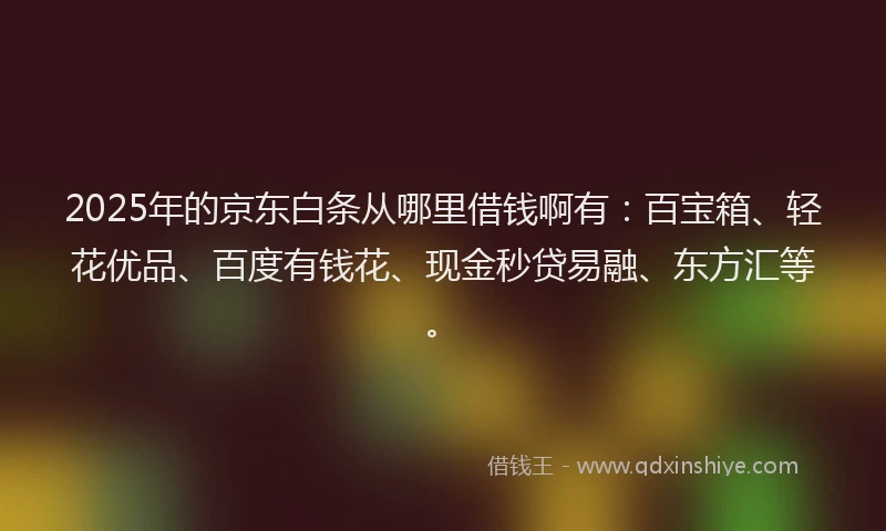 2025年的京东白条从哪里借钱啊有：百宝箱、轻花优品、百度有钱花、现金秒贷易融、东方汇等。