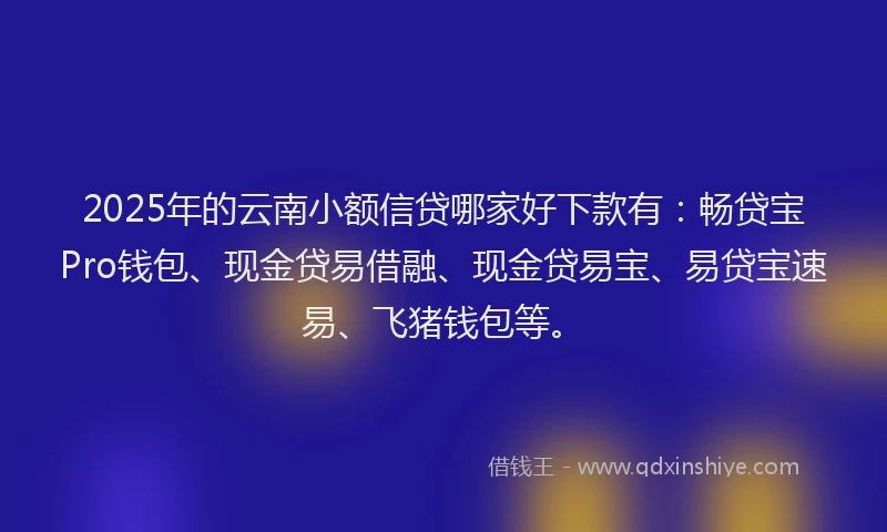 2025年的云南小额信贷哪家好下款有：畅贷宝Pro钱包、现金贷易借融、现金贷易宝、易贷宝速易、飞猪钱包等。