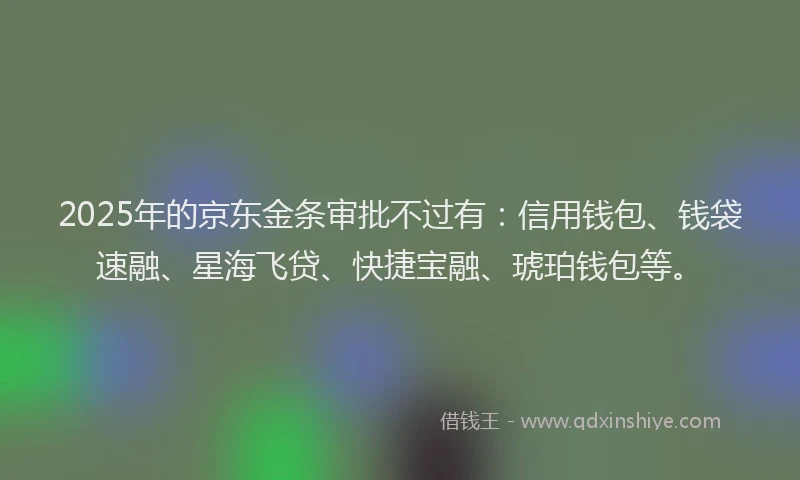 2025年的京东金条审批不过有：信用钱包、钱袋速融、星海飞贷、快捷宝融、琥珀钱包等。