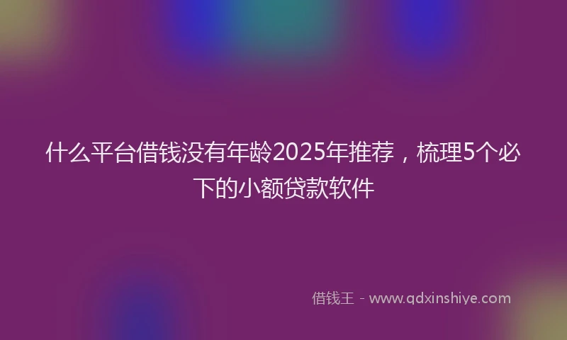 什么平台借钱没有年龄2025年推荐，梳理5个必下的小额贷款软件
