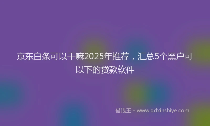 京东白条可以干嘛2025年推荐，汇总5个黑户可以下的贷款软件