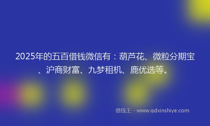 2025年的五百借钱微信有：葫芦花、微粒分期宝、沪商财富、九梦租机、鹿优选等。