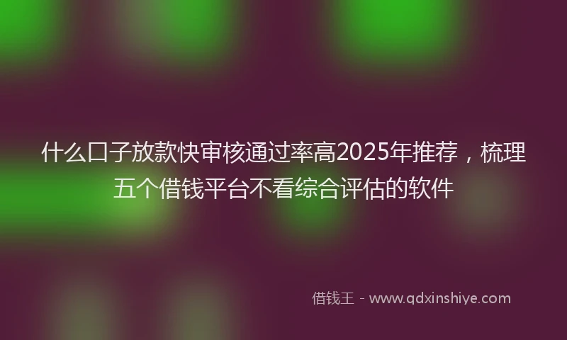 什么口子放款快审核通过率高2025年推荐，梳理五个借钱平台不看综合评估的软件