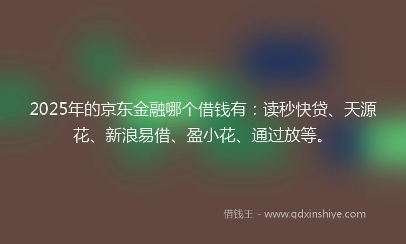 2025年的京东金融哪个借钱有：读秒快贷、天源花、新浪易借、盈小花、通过放等。