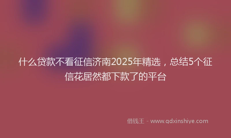 什么贷款不看征信济南2025年精选，总结5个征信花居然都下款了的平台