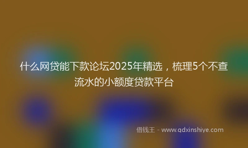 什么网贷能下款论坛2025年精选，梳理5个不查流水的小额度贷款平台