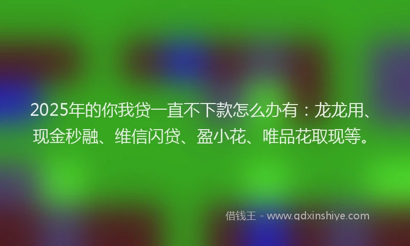 2025年的你我贷一直不下款怎么办有：龙龙用、现金秒融、维信闪贷、盈小花、唯品花取现等。