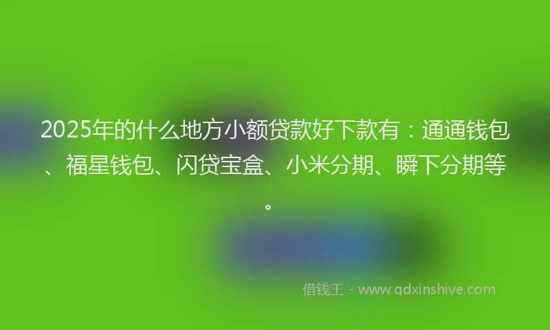 2025年的什么地方小额贷款好下款有:通通钱包、福星钱包、闪贷宝盒、小米分期、瞬下分期等。