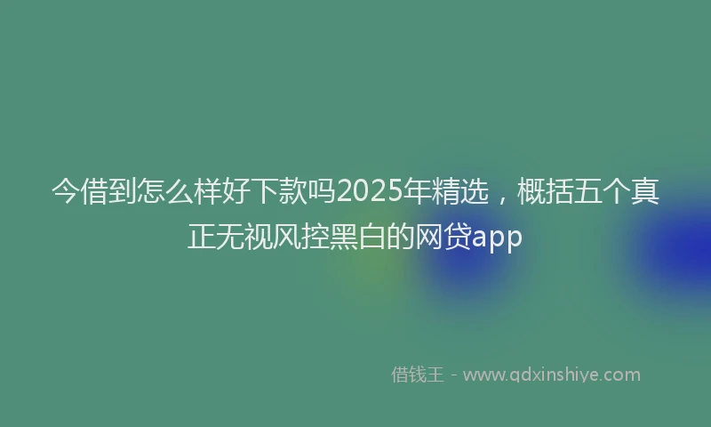 今借到怎么样好下款吗2025年精选，概括五个真正无视风控黑白的网贷app