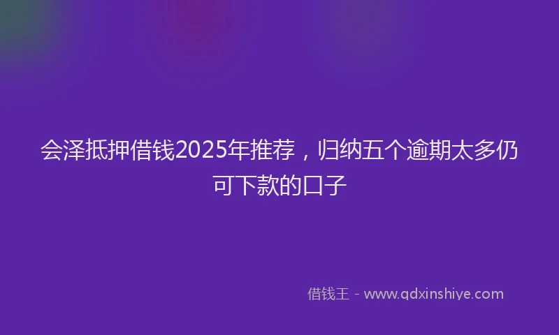 会泽抵押借钱2025年推荐，归纳五个逾期太多仍可下款的口子