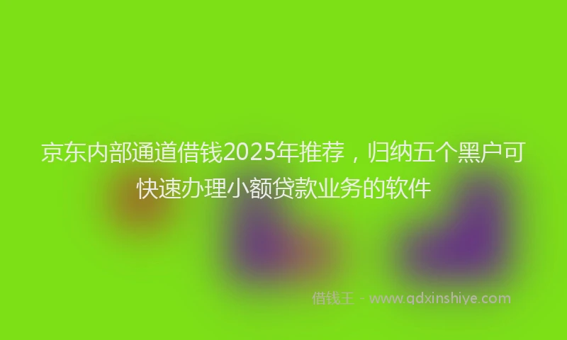 京东内部通道借钱2025年推荐，归纳五个黑户可快速办理小额贷款业务的软件