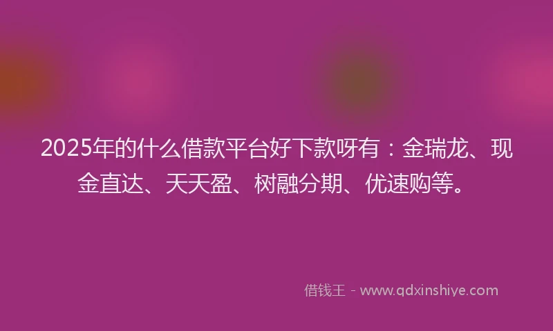 2025年的什么借款平台好下款呀有：金瑞龙、现金直达、天天盈、树融分期、优速购等。