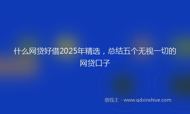 什么网贷好借2025年精选，总结五个无视一切的网贷口子