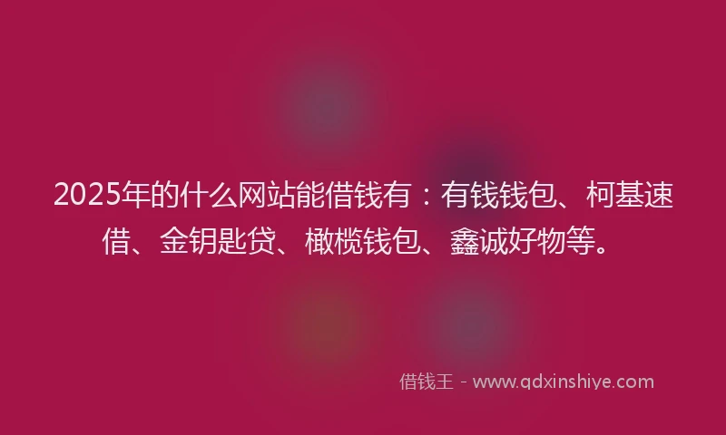 2025年的什么网站能借钱有：有钱钱包、柯基速借、金钥匙贷、橄榄钱包、鑫诚好物等。