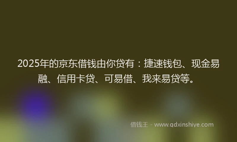 2025年的京东借钱由你贷有：捷速钱包、现金易融、信用卡贷、可易借、我来易贷等。