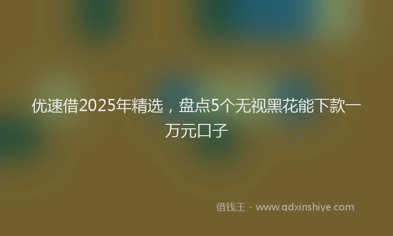 优速借2025年精选，盘点5个无视黑花能下款一万元口子