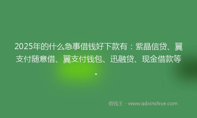 2025年的什么急事借钱好下款有：紫晶信贷、翼支付随意借、翼支付钱包、迅融贷、现金借款等。