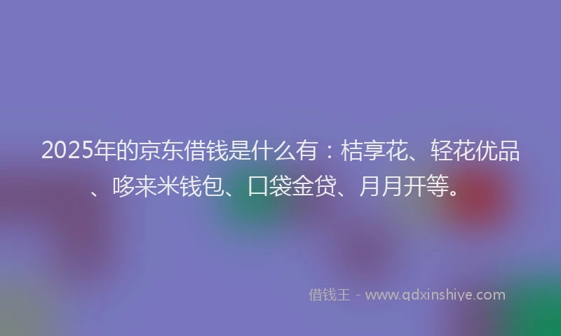 2025年的京东借钱是什么有：桔享花、轻花优品、哆来米钱包、口袋金贷、月月开等。