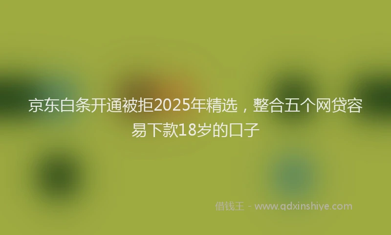 京东白条开通被拒2025年精选，整合五个网贷容易下款18岁的口子
