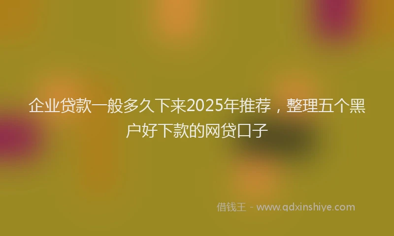 企业贷款一般多久下来2025年推荐，整理五个黑户好下款的网贷口子