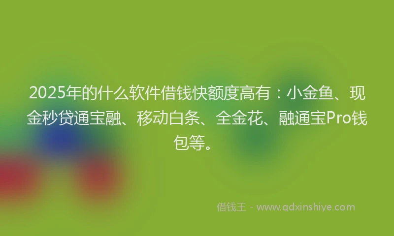 2025年的什么软件借钱快额度高有：小金鱼、现金秒贷通宝融、移动白条、全金花、融通宝Pro钱包等。
