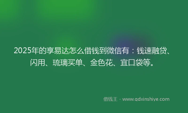 2025年的享易达怎么借钱到微信有：钱速融贷、闪用、琉璃买单、金色花、宜口袋等。