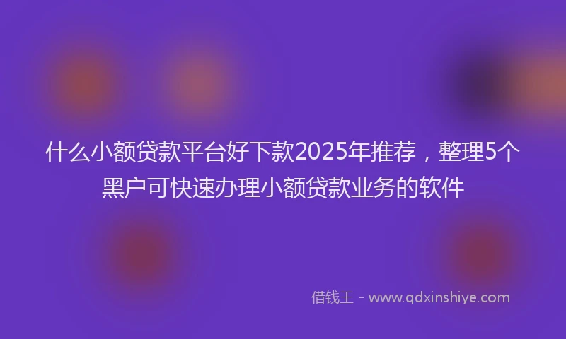 什么小额贷款平台好下款2025年推荐，整理5个黑户可快速办理小额贷款业务的软件