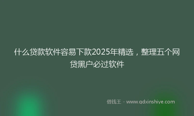 什么贷款软件容易下款2025年精选，整理五个网贷黑户必过软件