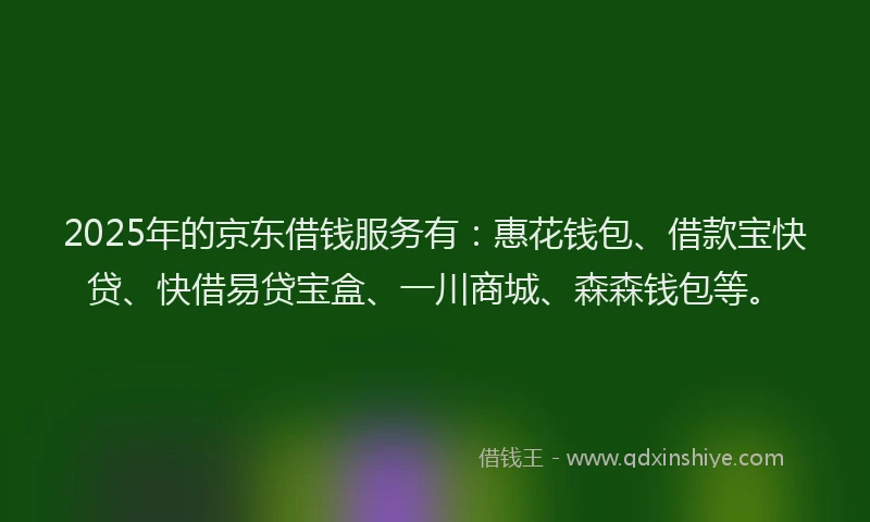2025年的京东借钱服务有：惠花钱包、借款宝快贷、快借易贷宝盒、一川商城、森森钱包等。
