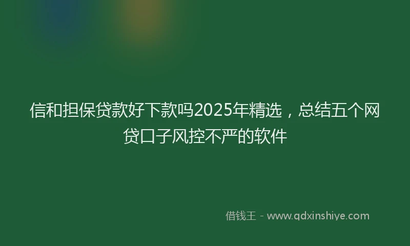 信和担保贷款好下款吗2025年精选，总结五个网贷口子风控不严的软件